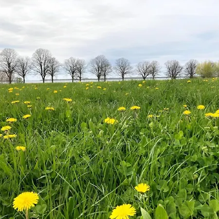 Holiday home Aviva - Mit Kamin Und Sauna Fuer 4 Personen